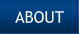 Meet Dianne Creech of RE/MAX United